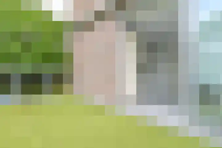 Rijksweg 278 Santpoort-Noord thumbnail 28