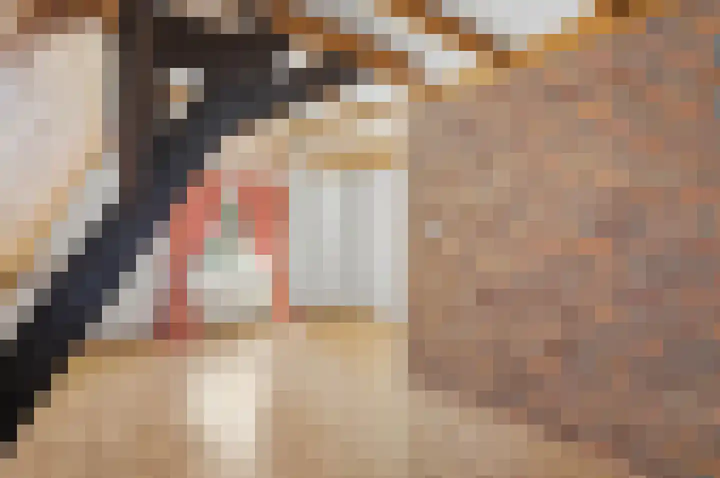 Rijksweg 28 Bergen L thumbnail 23