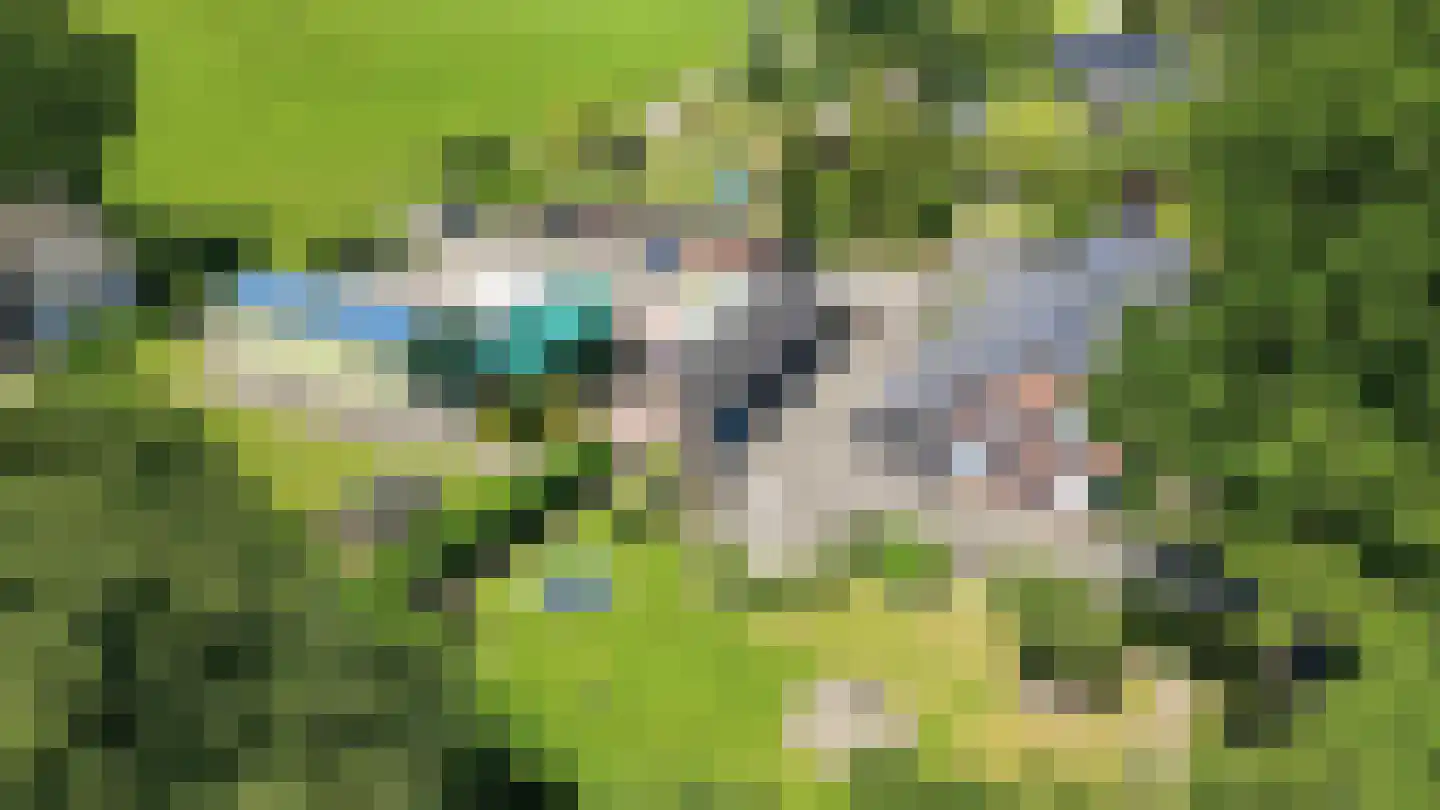 Rijksweg 28 Bergen L thumbnail 33