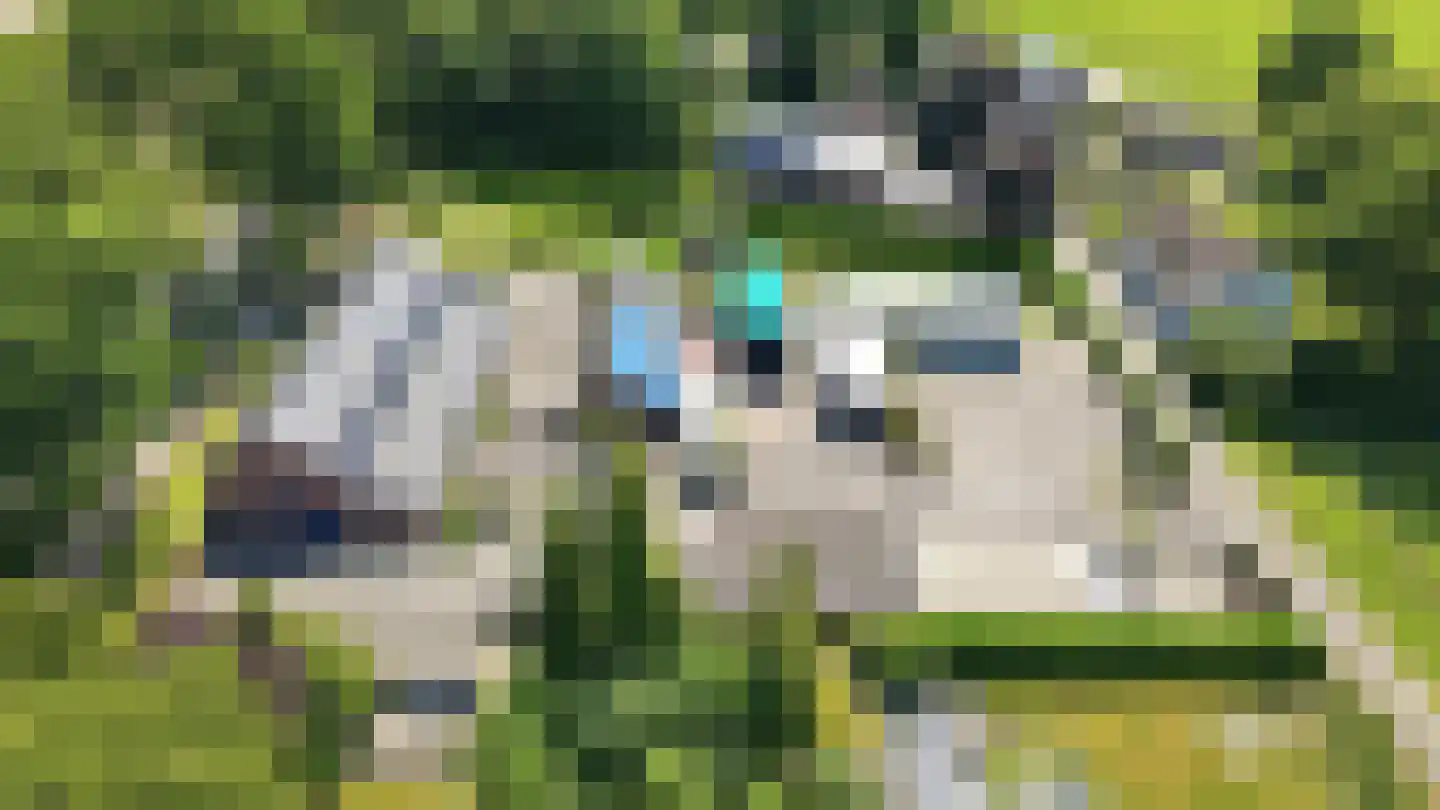 Rijksweg 28 Bergen L thumbnail 36