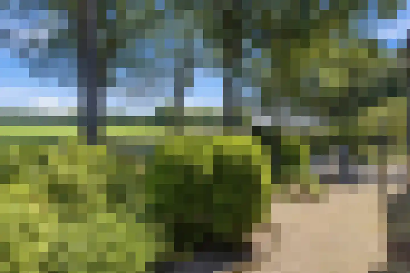 Rijksweg 28 Bergen L thumbnail 55