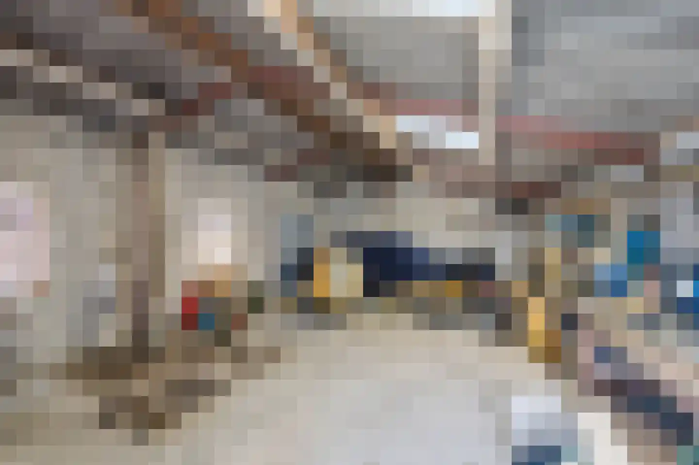 Rijksweg 28 Bergen L thumbnail 59