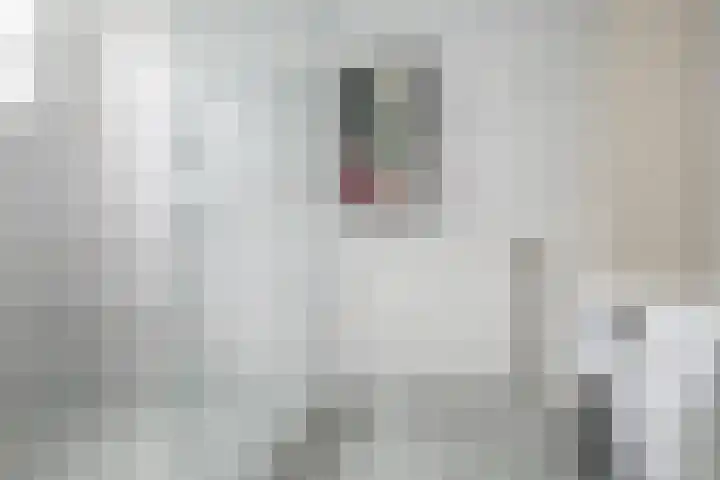 Rijksweg 28 Smilde thumbnail 14