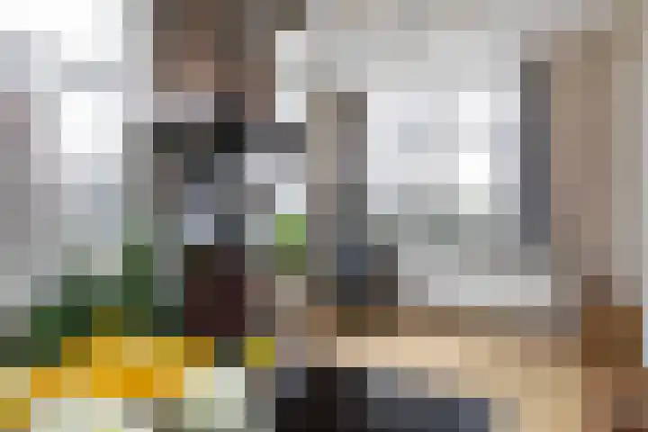 Rijksweg 28 Smilde thumbnail 6