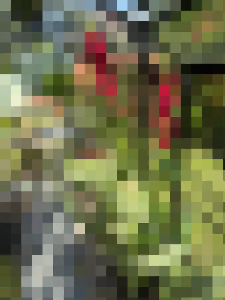 Rijksweg 29 Groningen thumbnail 5