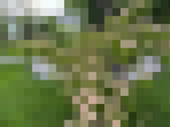 Rijksweg 29 Groningen thumbnail 6