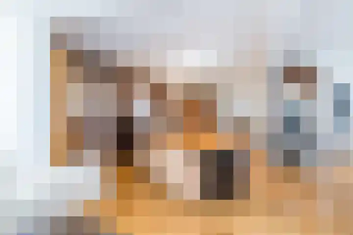Rijksweg 29 Linne thumbnail 19