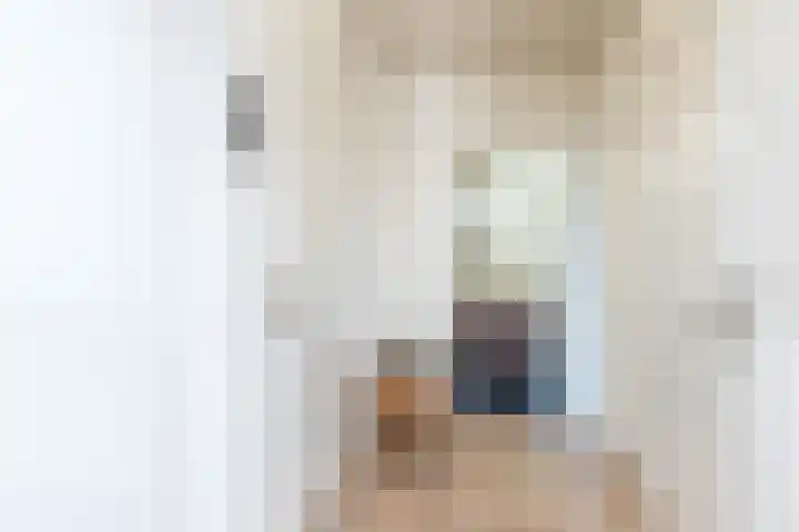 Rijksweg 29 Linne thumbnail 27