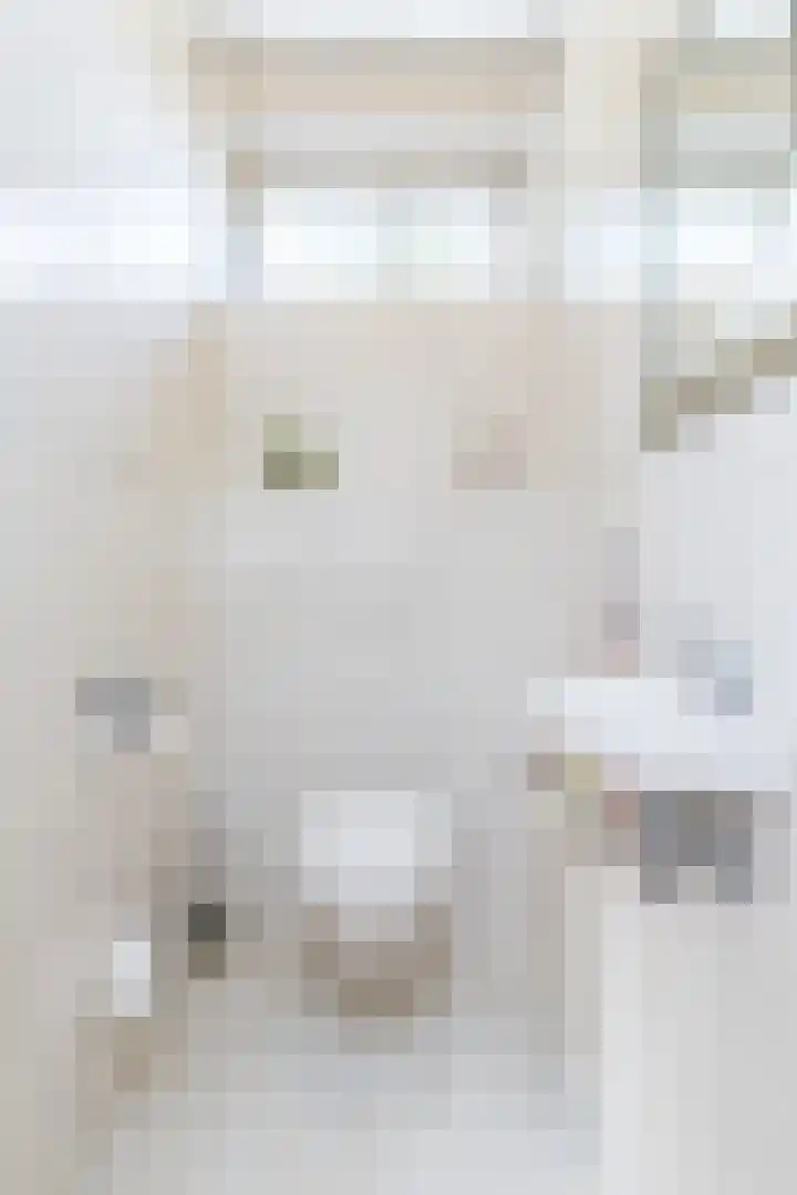 Rijksweg 29 Linne thumbnail 32