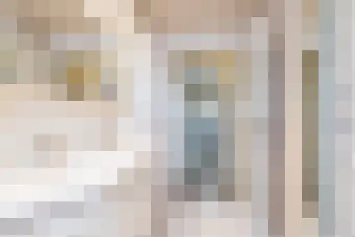 Rijksweg 29 Linne thumbnail 42
