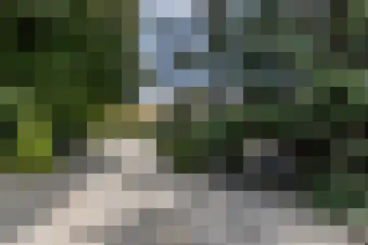 Rijksweg 29 Linne thumbnail 44