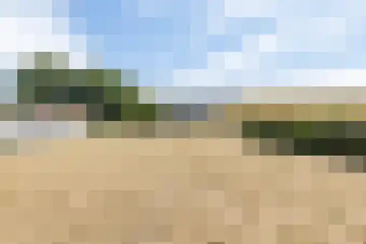 Rijksweg 29 Linne thumbnail 47