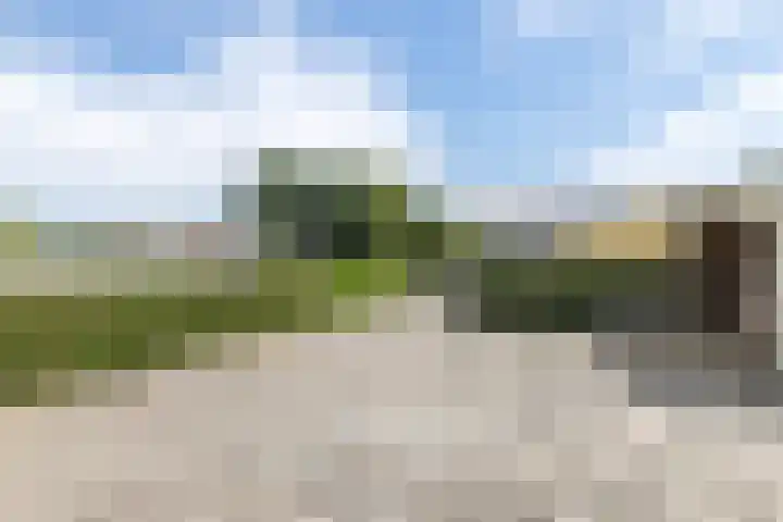 Rijksweg 29 Linne thumbnail 51