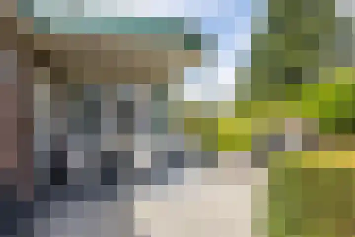 Rijksweg 29 Linne thumbnail 55