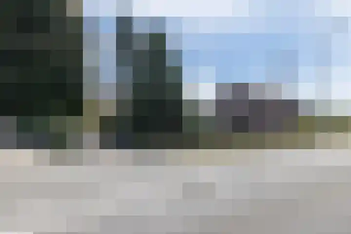 Rijksweg 29 Linne thumbnail 8