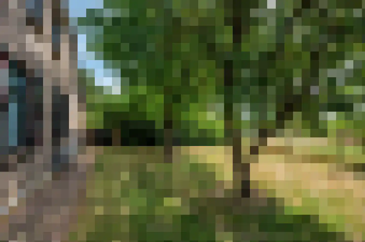 Rijksweg 29 Velden thumbnail 101