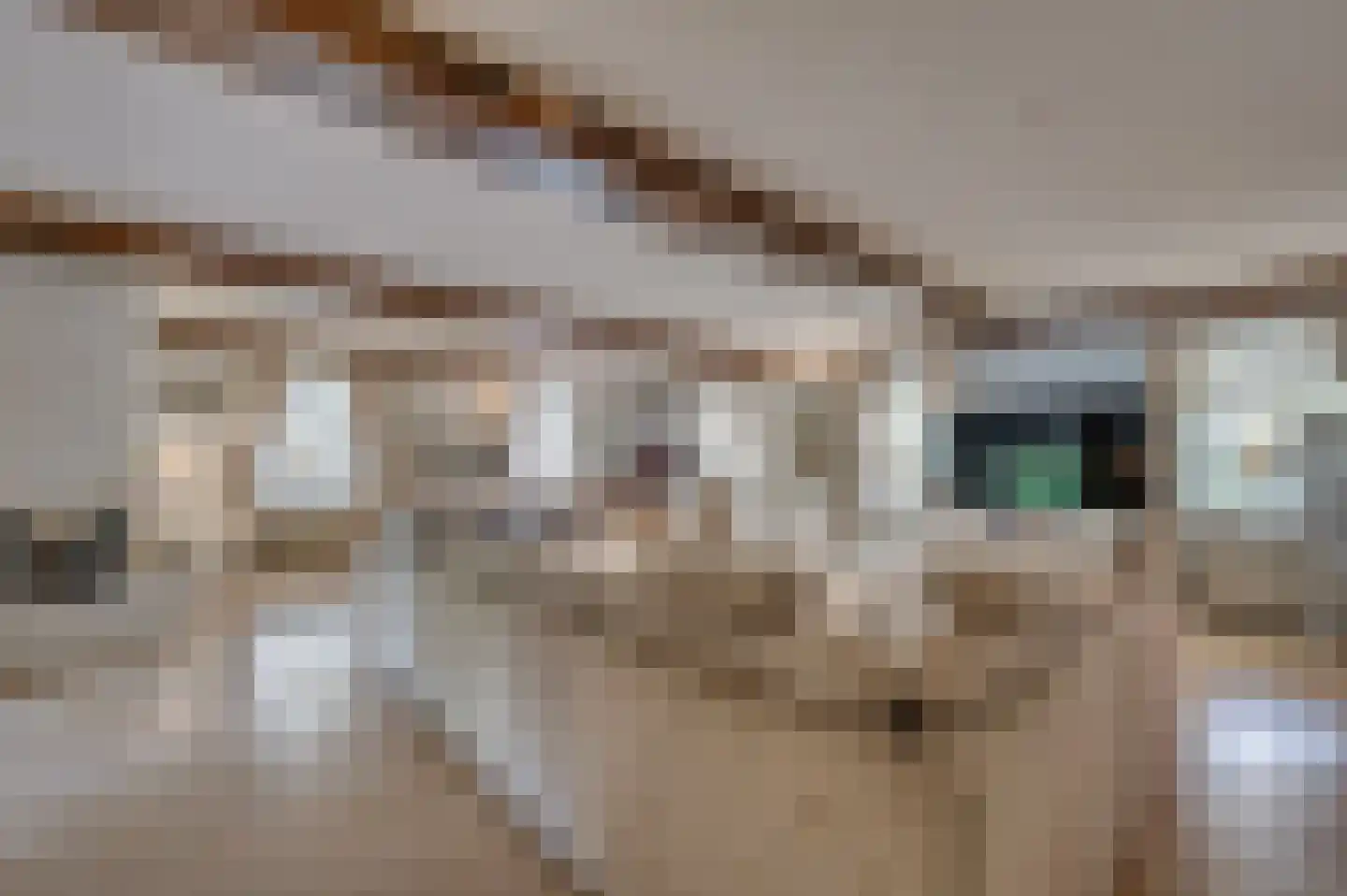 Rijksweg 29 Velden thumbnail 15