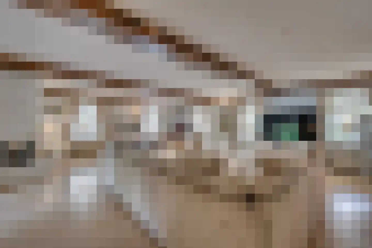 Rijksweg 29 Velden thumbnail 17