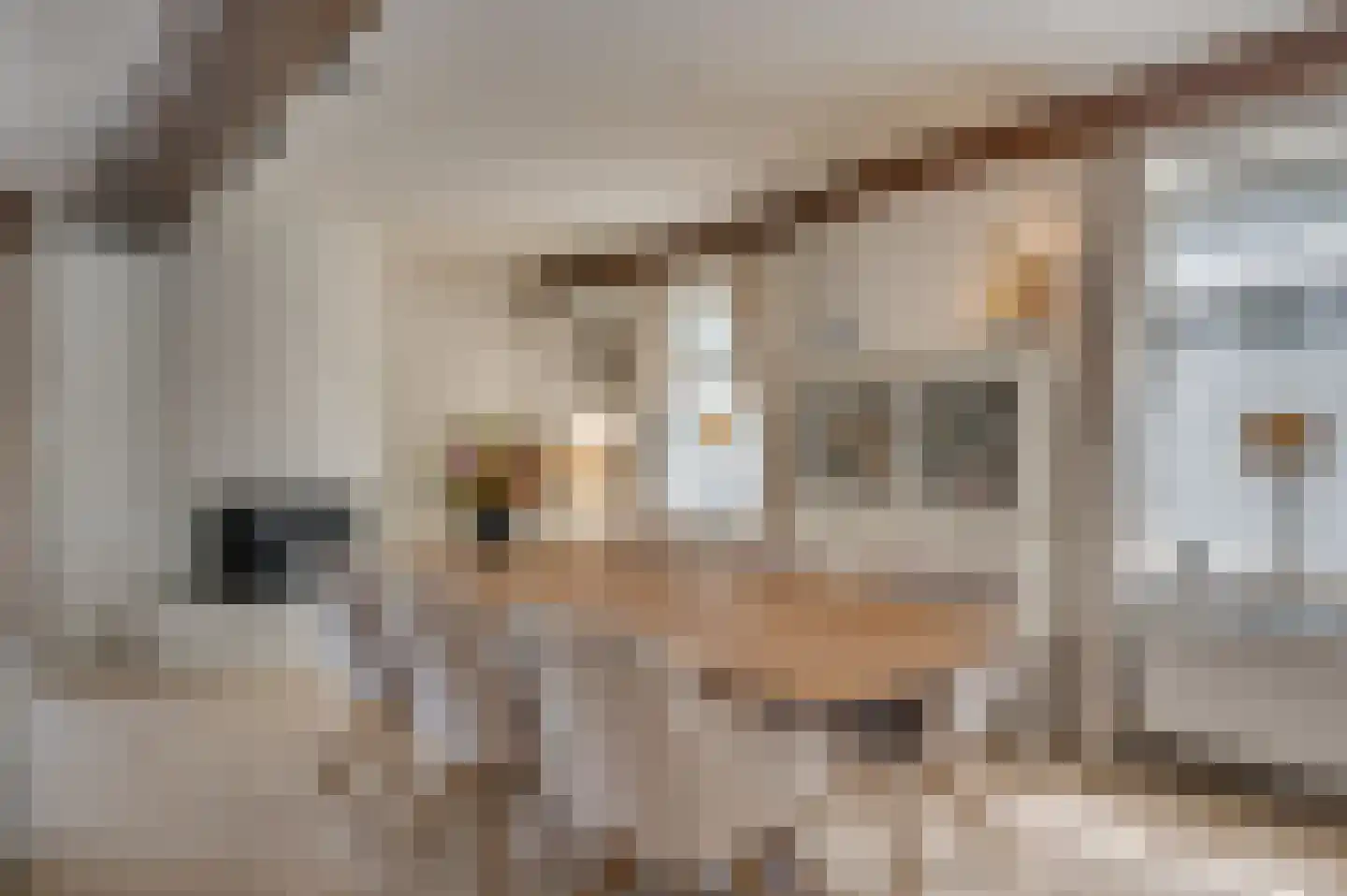 Rijksweg 29 Velden thumbnail 18
