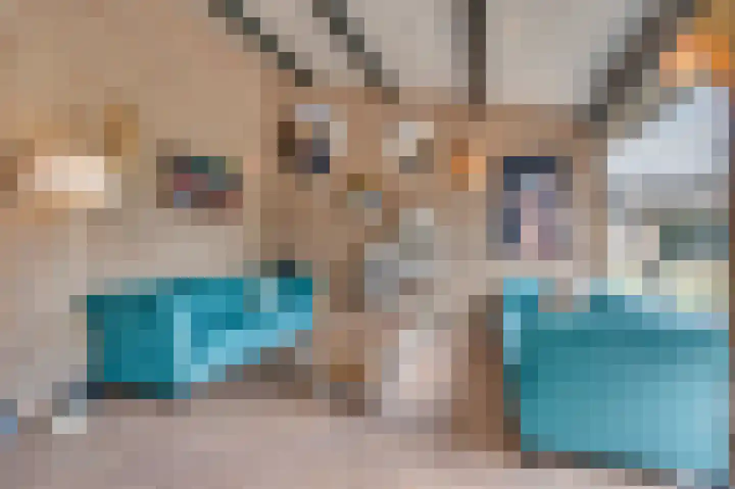 Rijksweg 29 Velden thumbnail 27