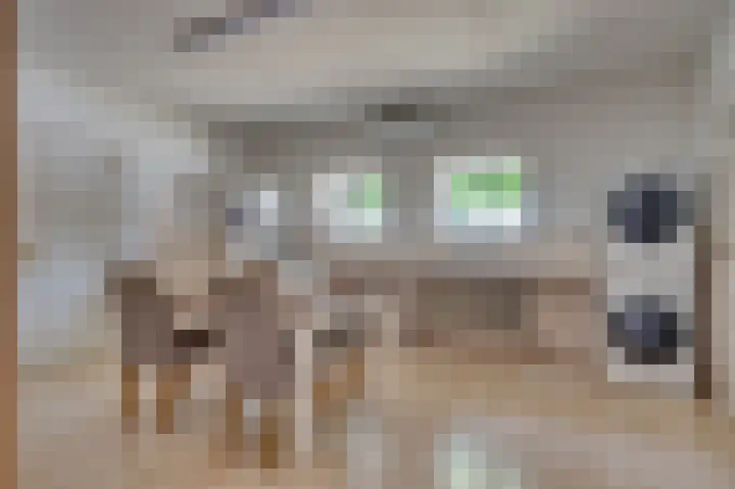 Rijksweg 29 Velden thumbnail 37