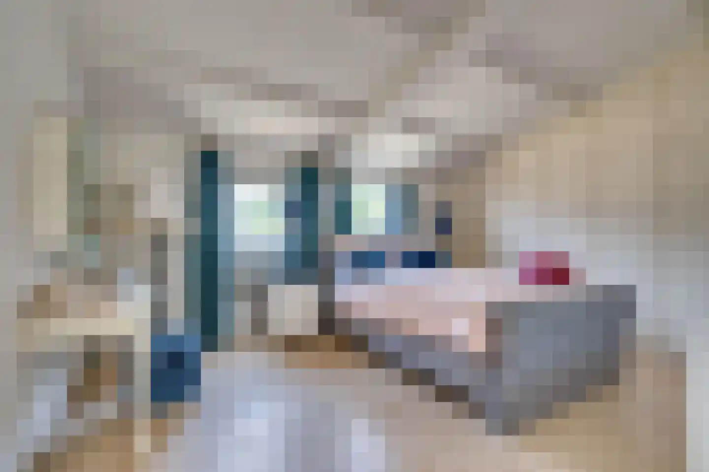 Rijksweg 29 Velden thumbnail 42