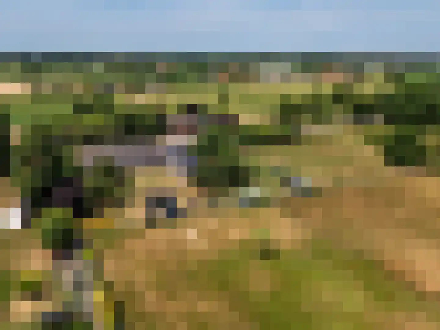 Rijksweg 29 Velden thumbnail 6
