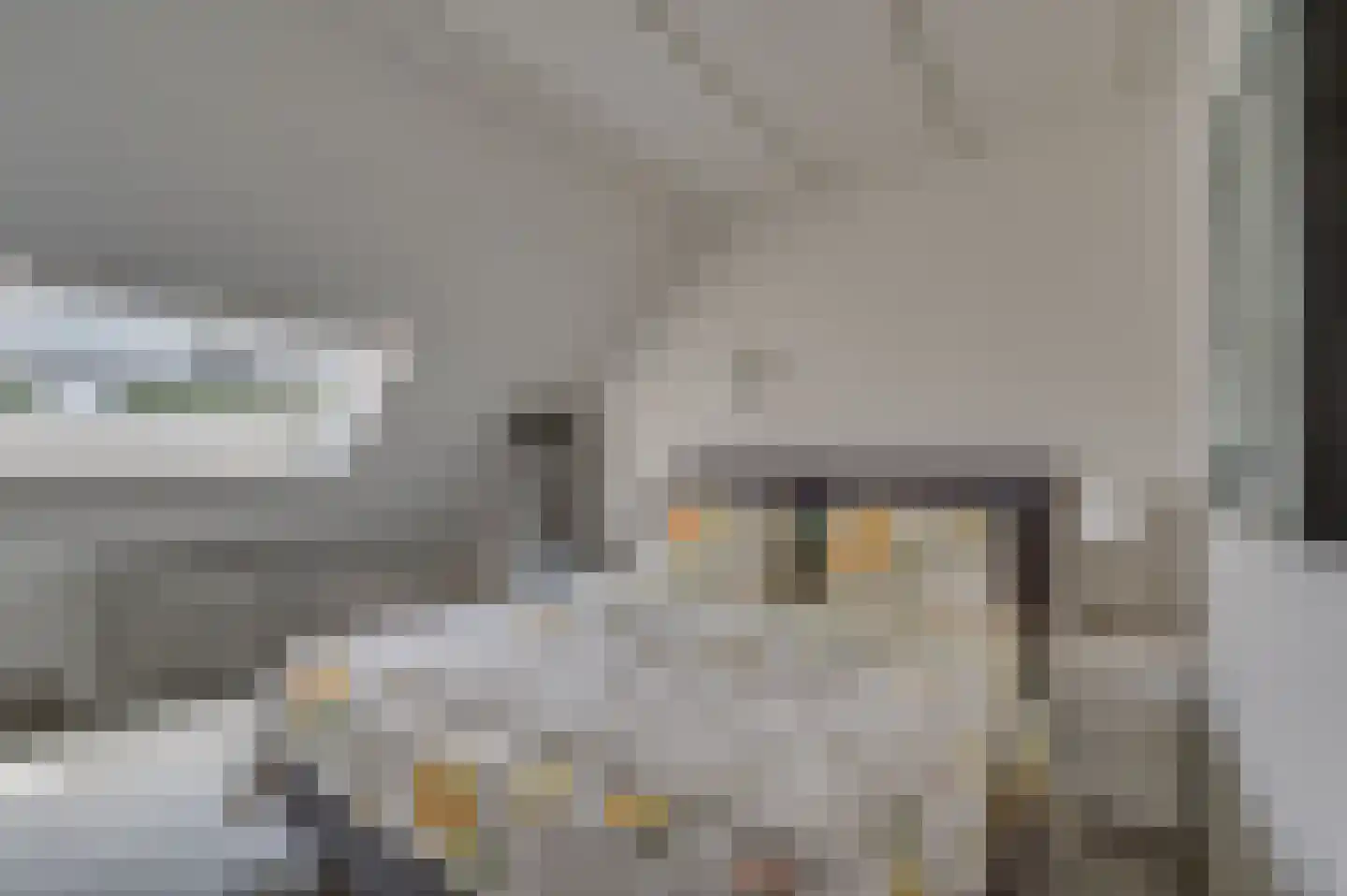 Rijksweg 29 Velden thumbnail 66