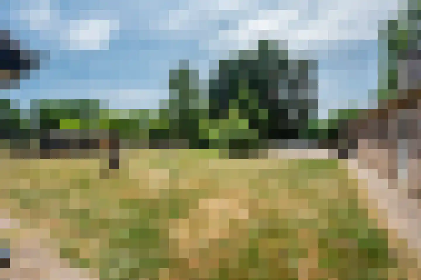 Rijksweg 29 Velden thumbnail 74