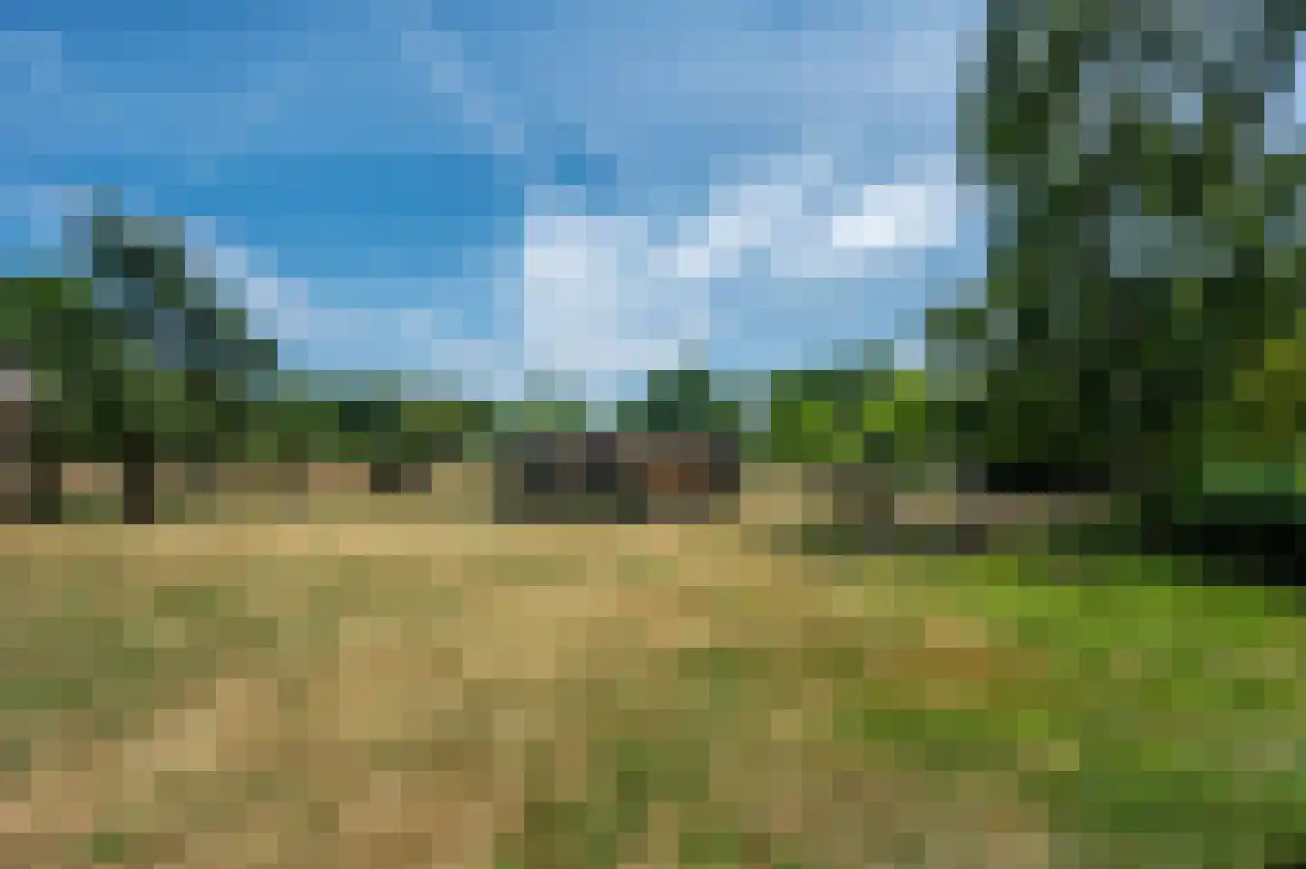 Rijksweg 29 Velden thumbnail 81