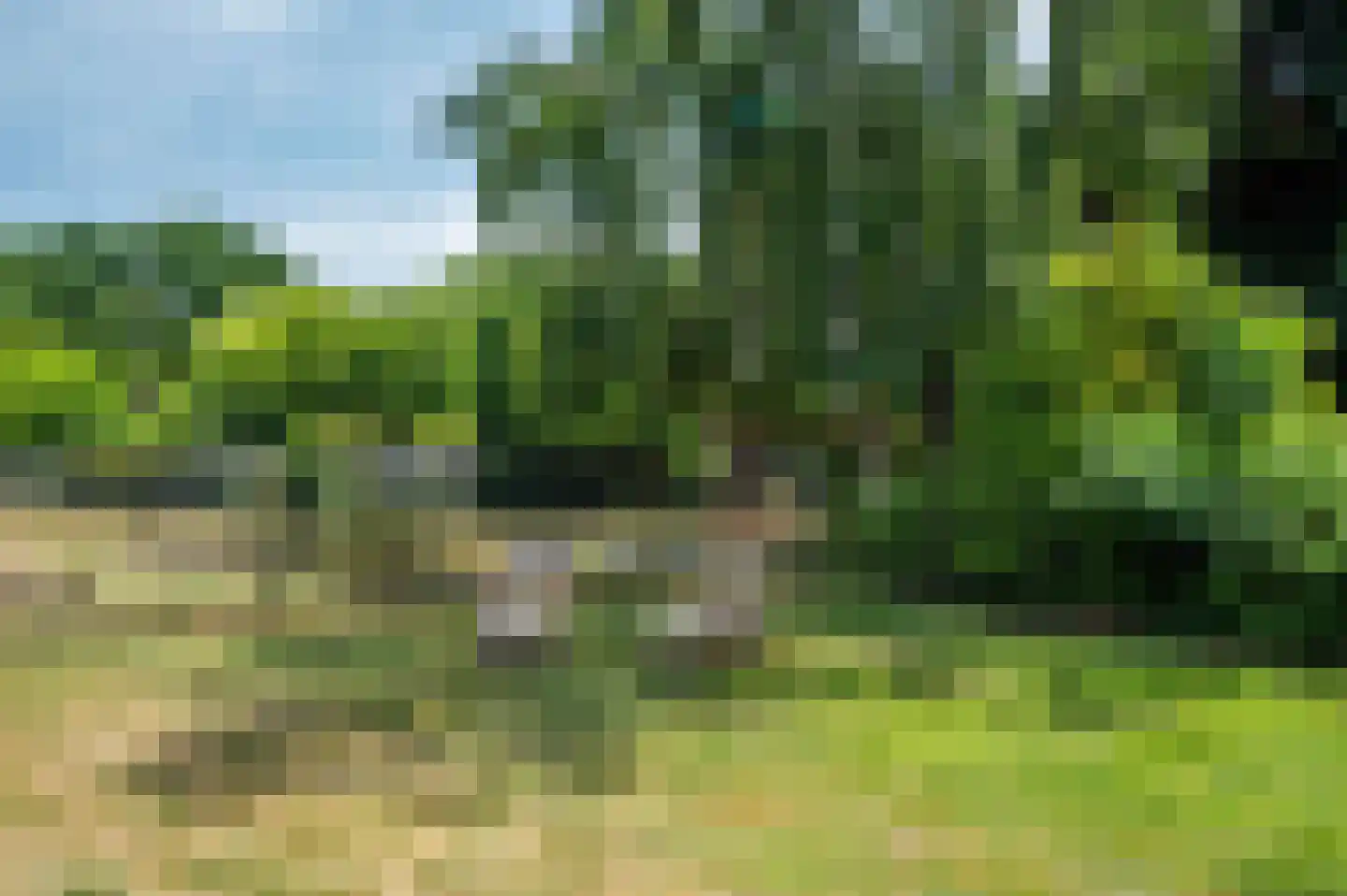 Rijksweg 29 Velden thumbnail 82