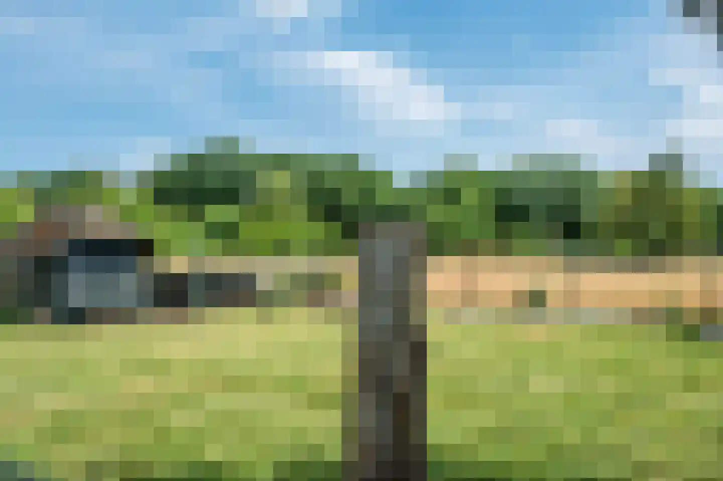 Rijksweg 29 Velden thumbnail 87