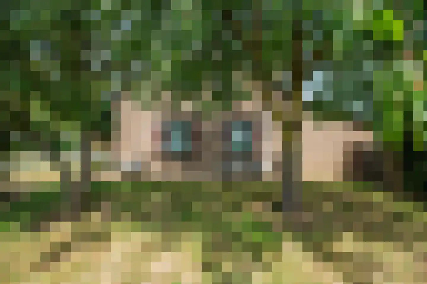 Rijksweg 29 Velden thumbnail 97