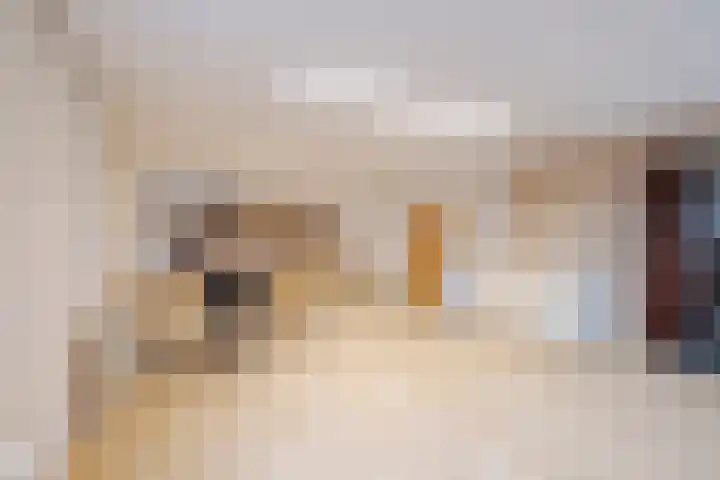 Rijksweg 297 RD Velserbroek thumbnail 30