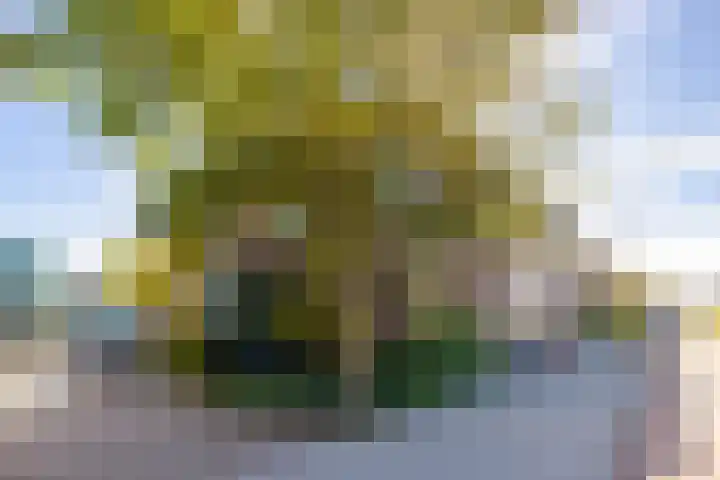 Rijksweg 297 RD Velserbroek thumbnail 47