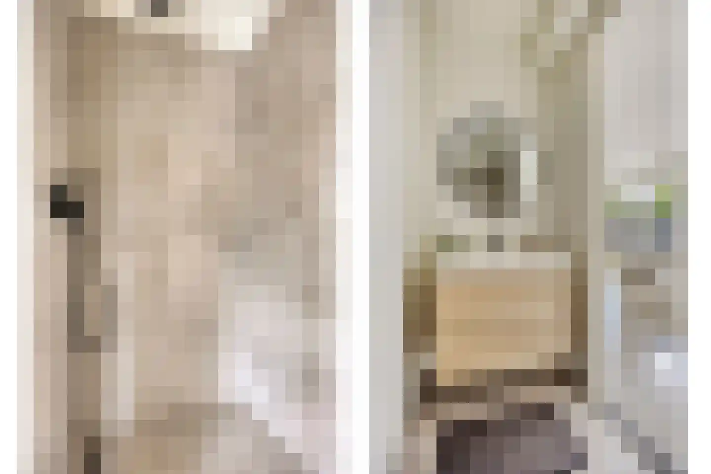 Rijksweg 3 a Molenhoek thumbnail 14