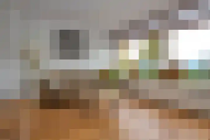 Rijksweg 306 Santpoort-Noord thumbnail 25