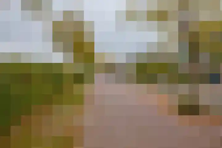 Rijksweg 306 Santpoort-Noord thumbnail 58