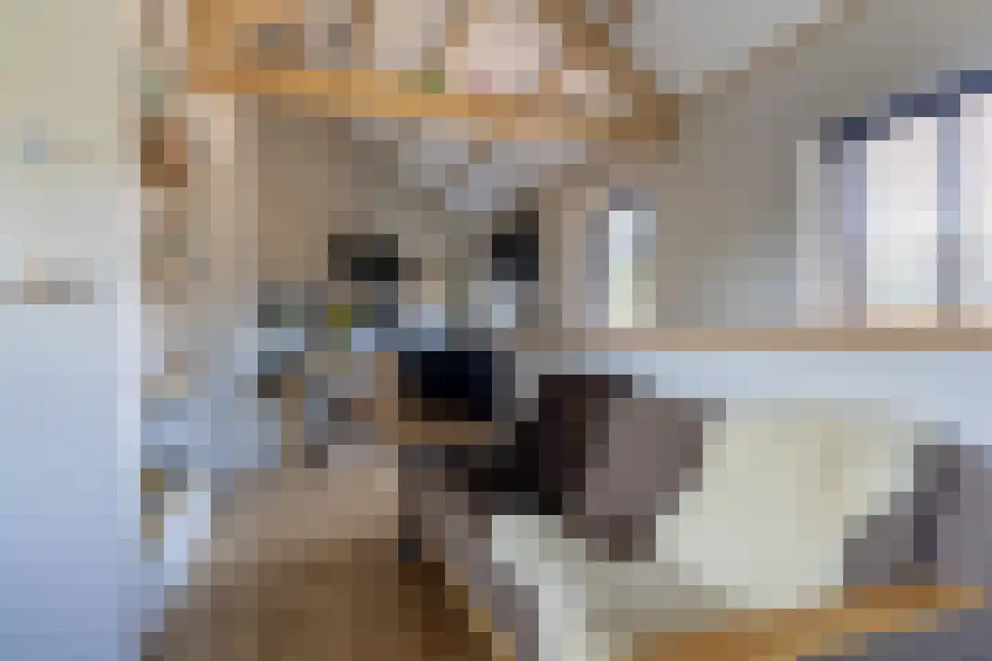 Rijksweg 31 b Limmen thumbnail 15