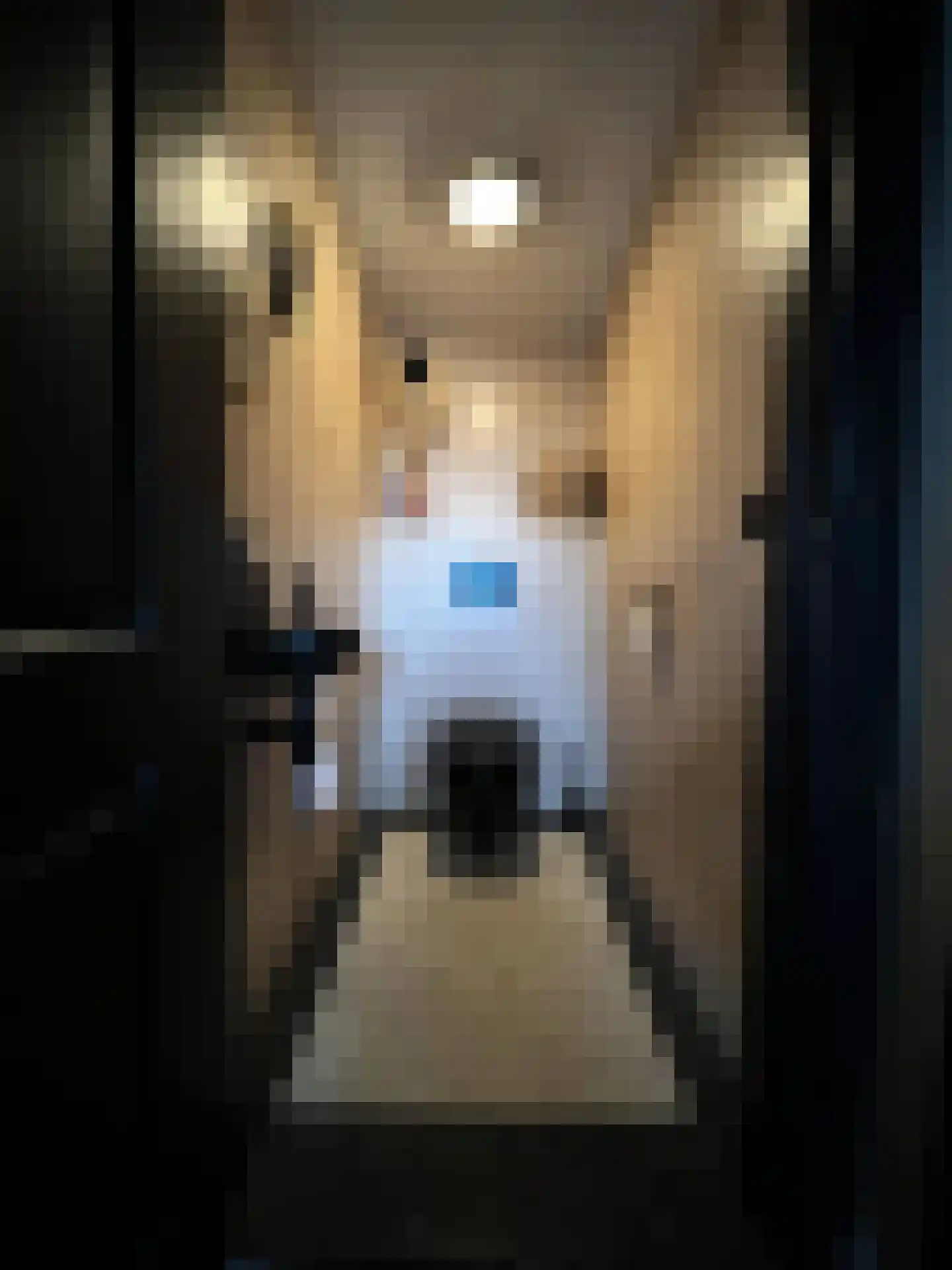 Rijksweg 31 b Limmen thumbnail 19