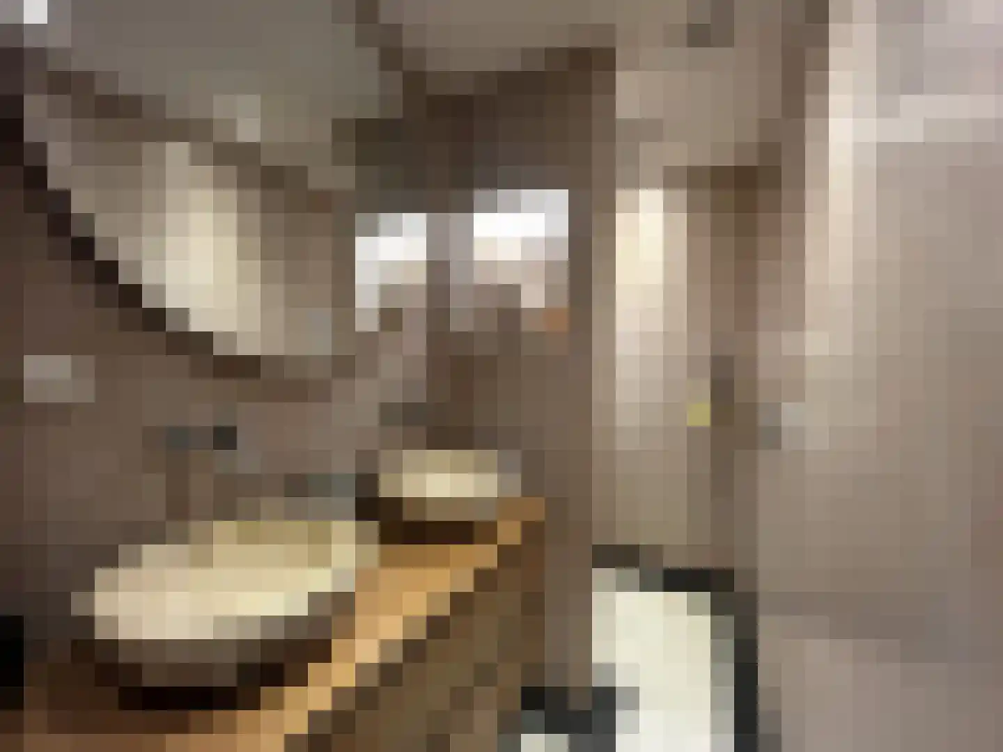 Rijksweg 31 b Limmen thumbnail 21