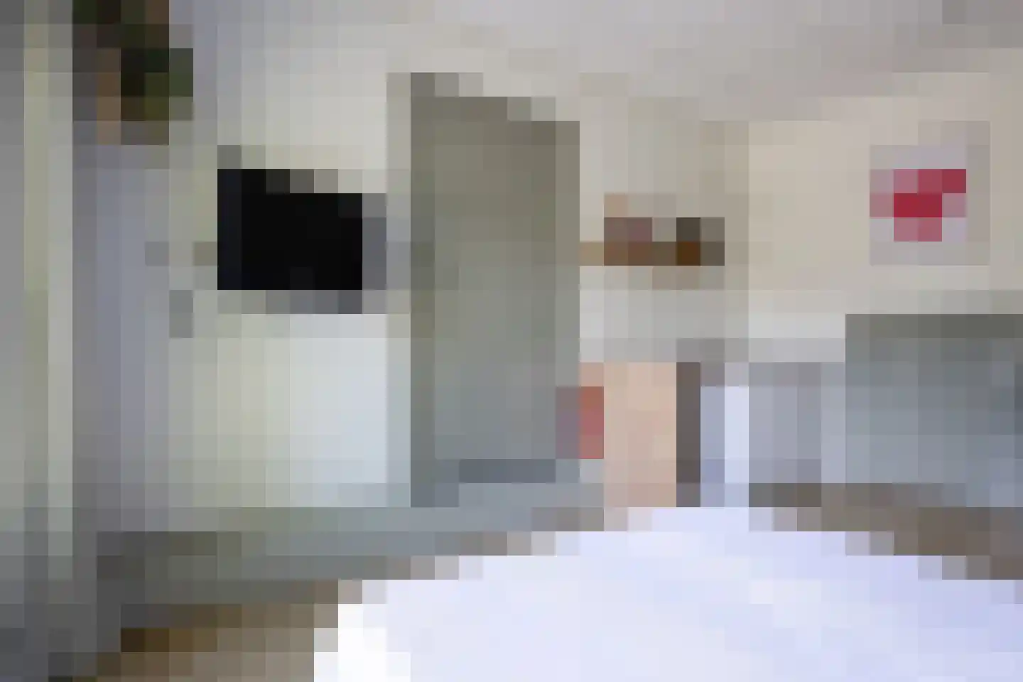 Rijksweg 31 b Limmen thumbnail 29