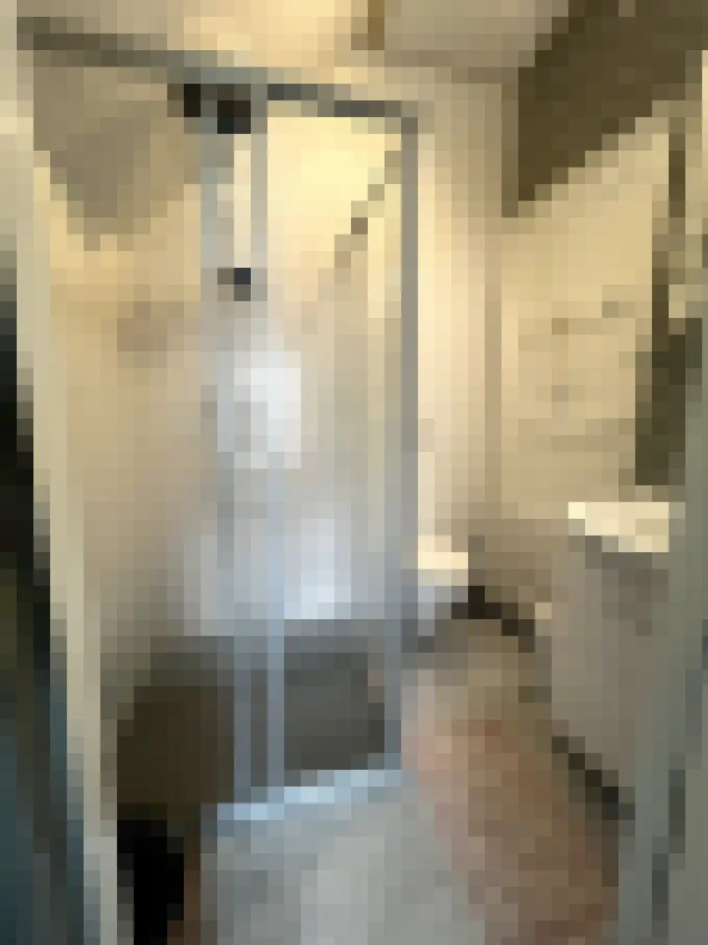 Rijksweg 31 b Limmen thumbnail 34