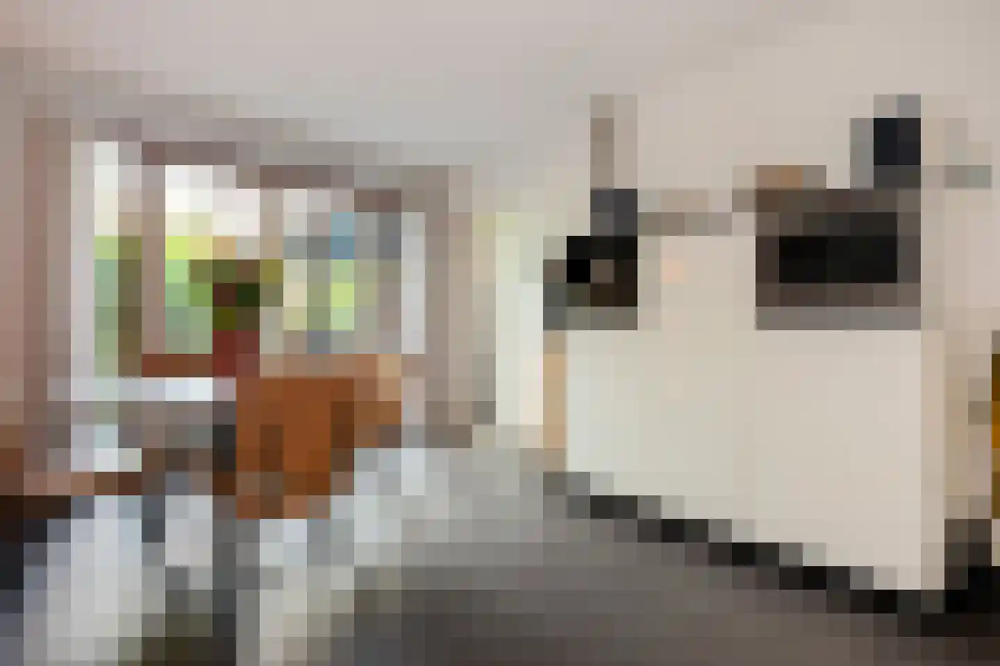 Rijksweg 31 E Maastricht thumbnail 16