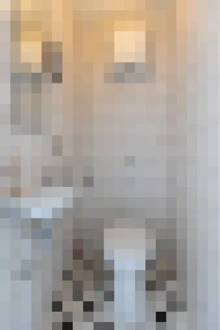 Rijksweg 31 Malden thumbnail 16