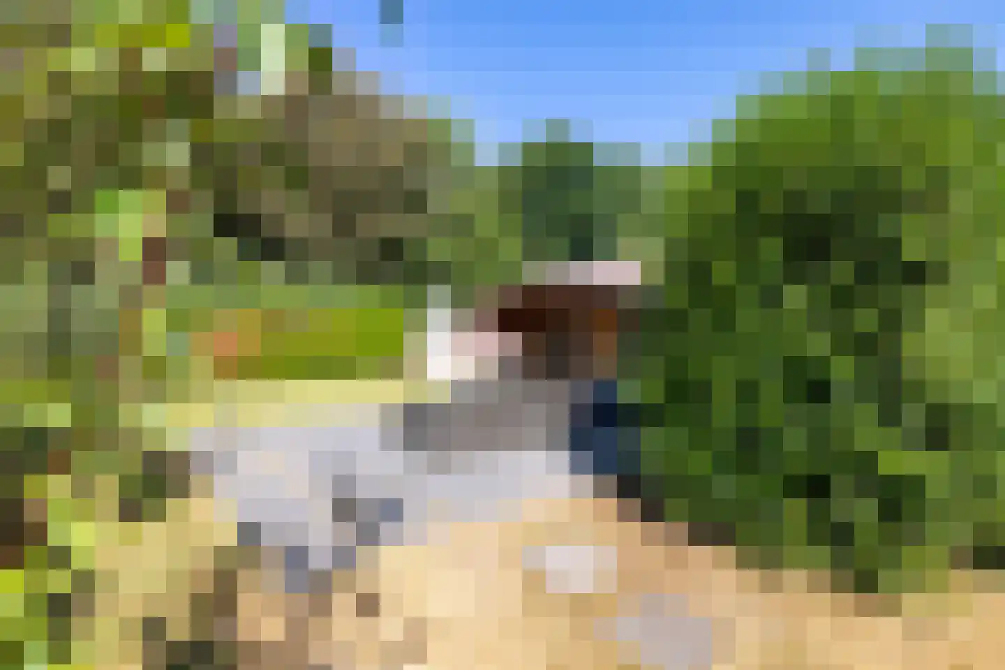 Rijksweg 316 Gaanderen thumbnail 13
