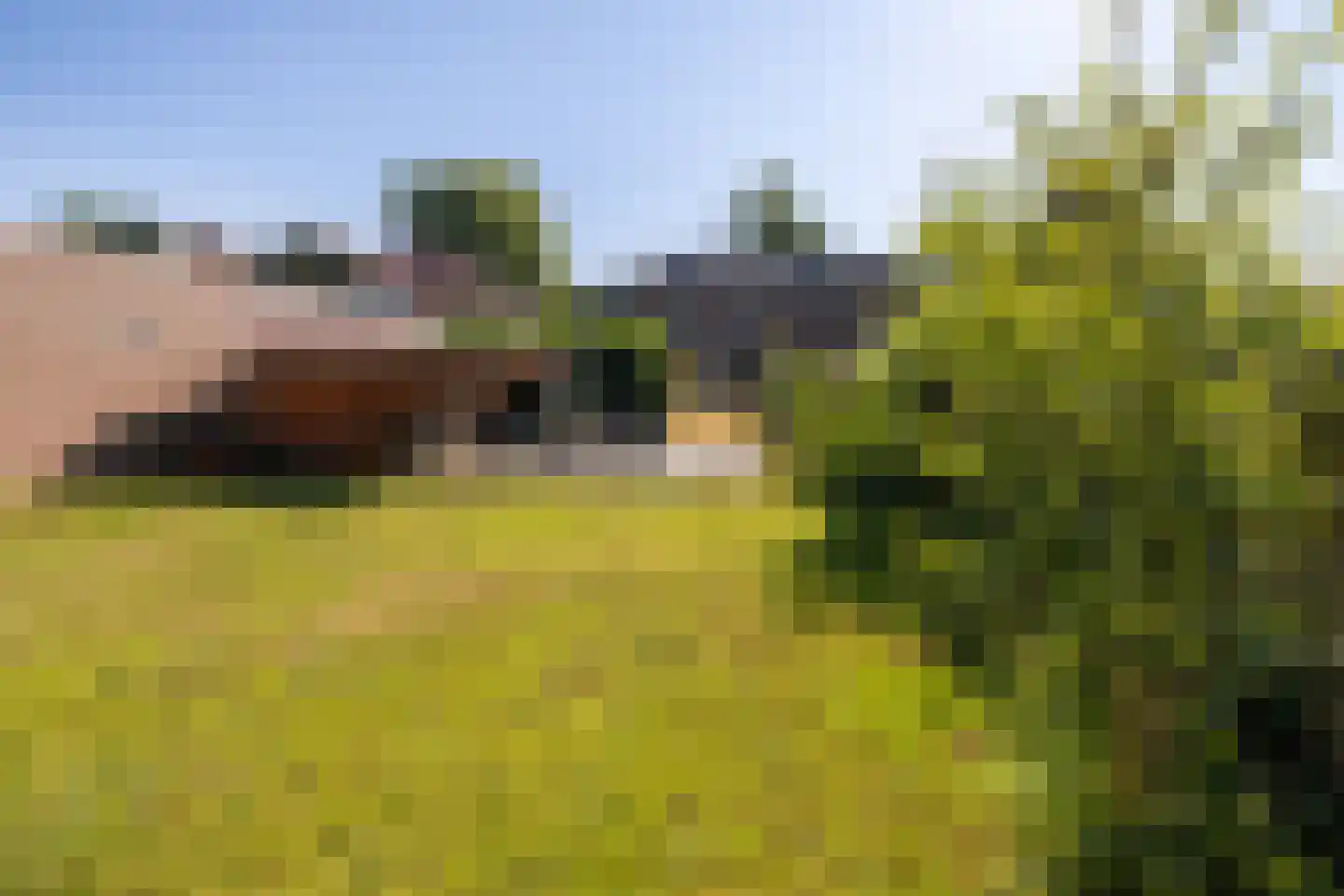 Rijksweg 316 Gaanderen thumbnail 16