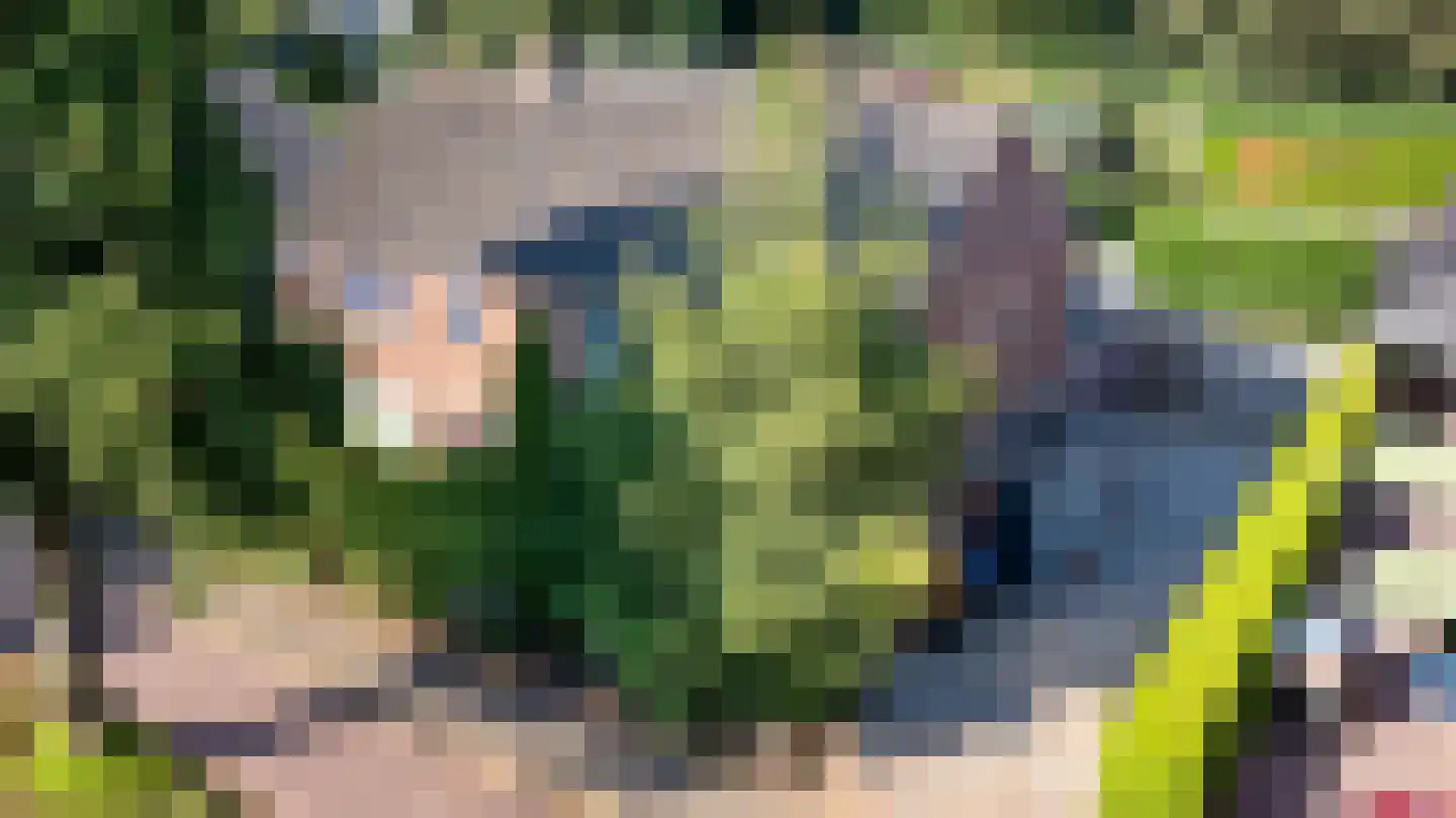 Rijksweg 316 Gaanderen thumbnail 38