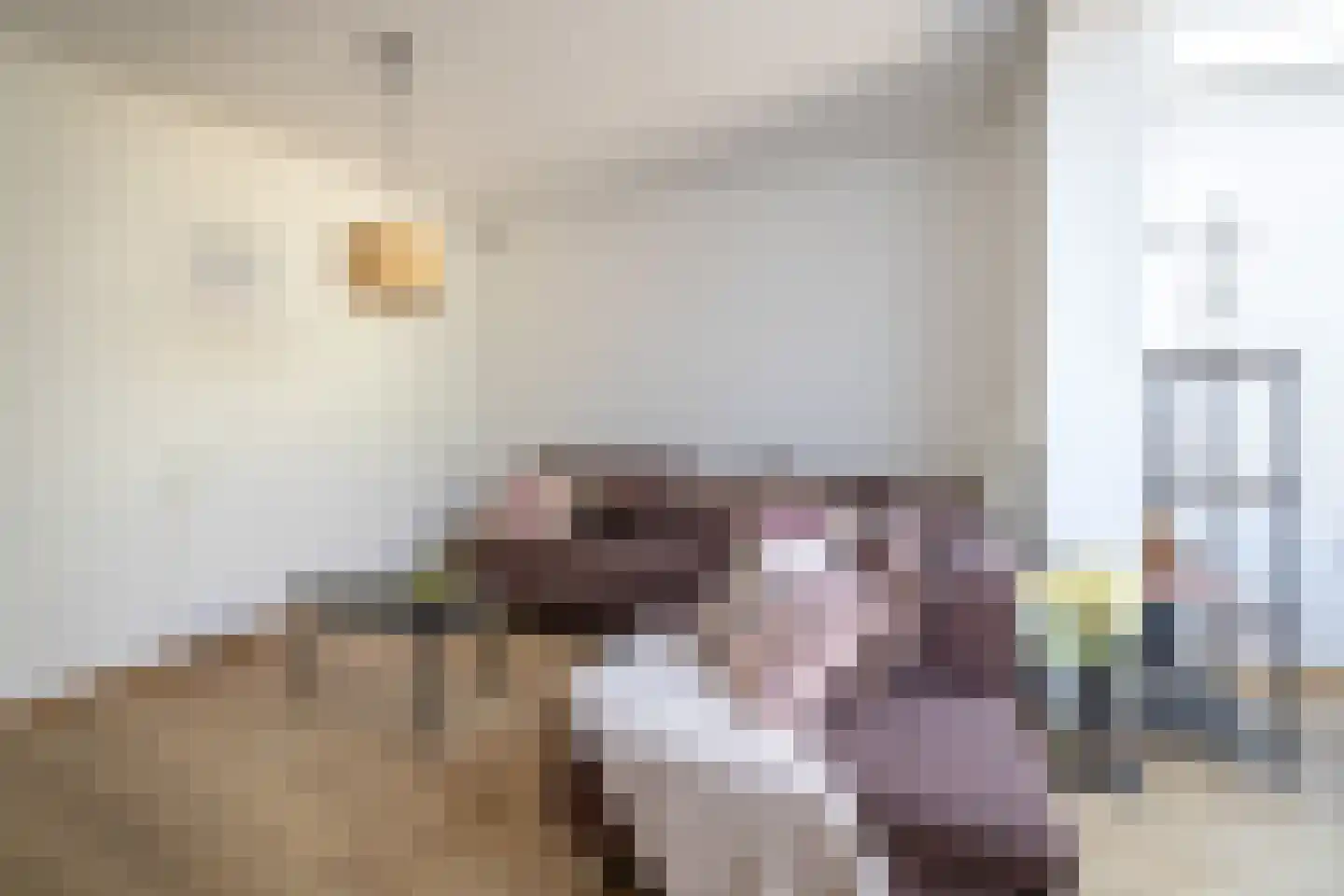 Rijksweg 316 Gaanderen thumbnail 4