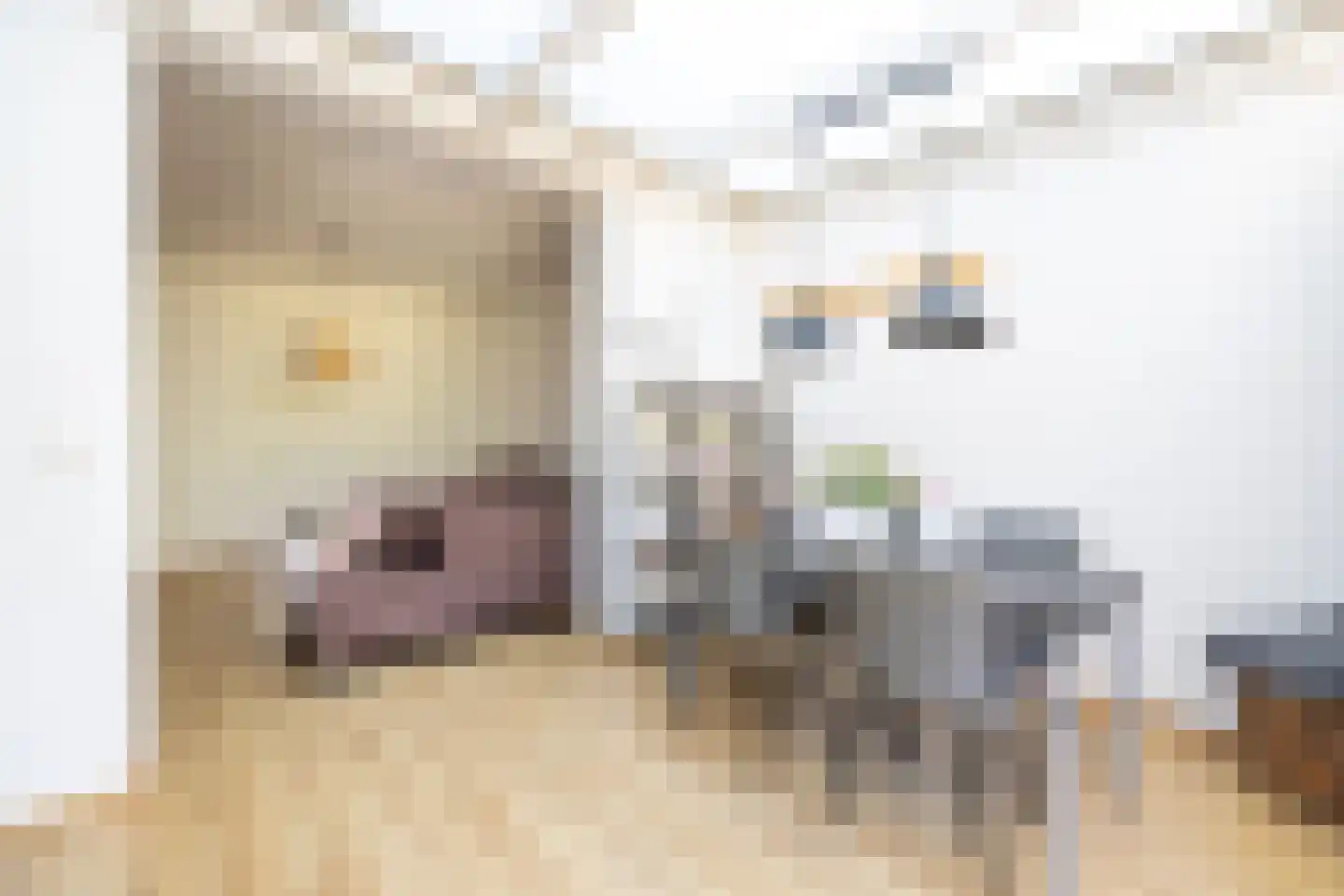 Rijksweg 316 Gaanderen thumbnail 7